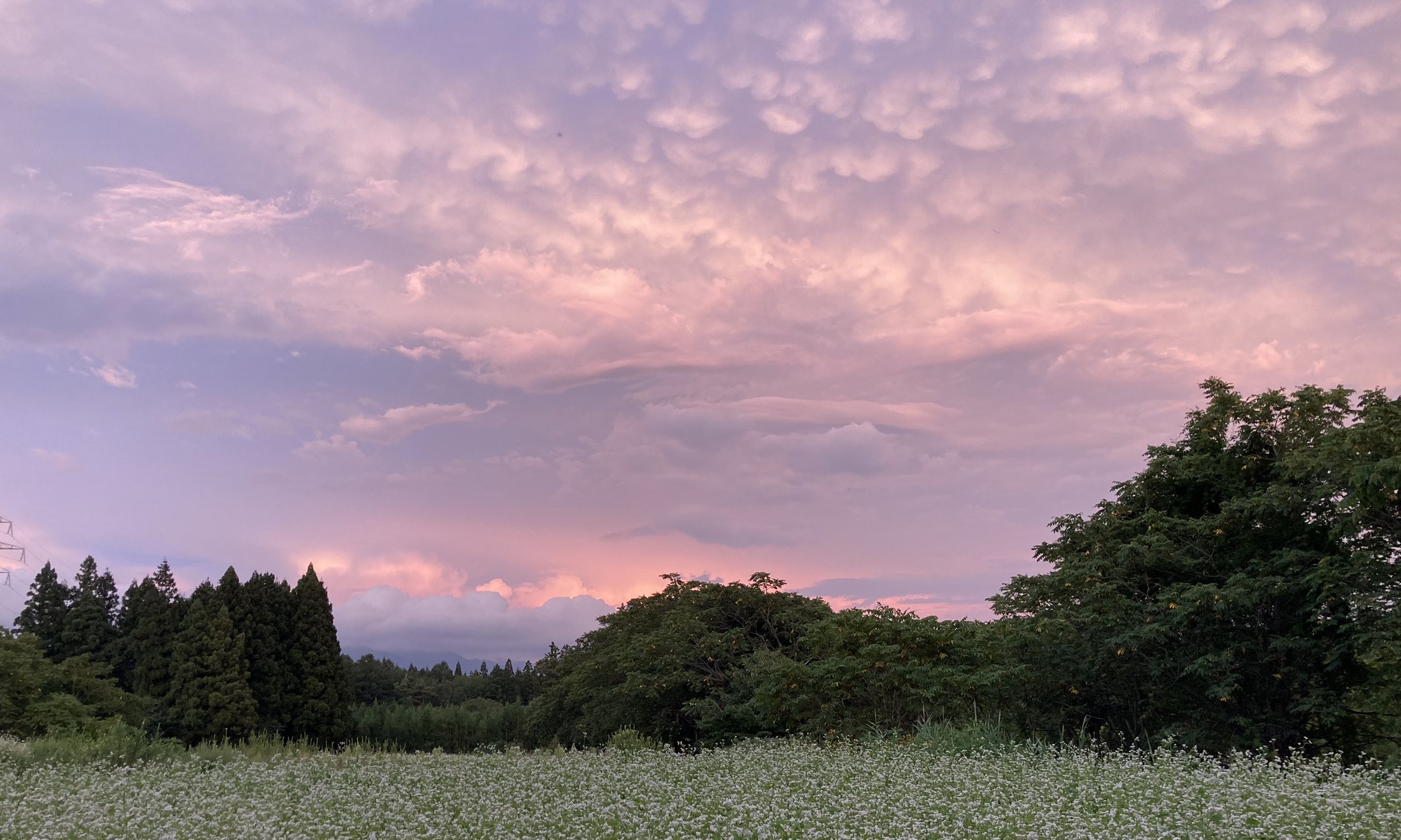 里山の借地