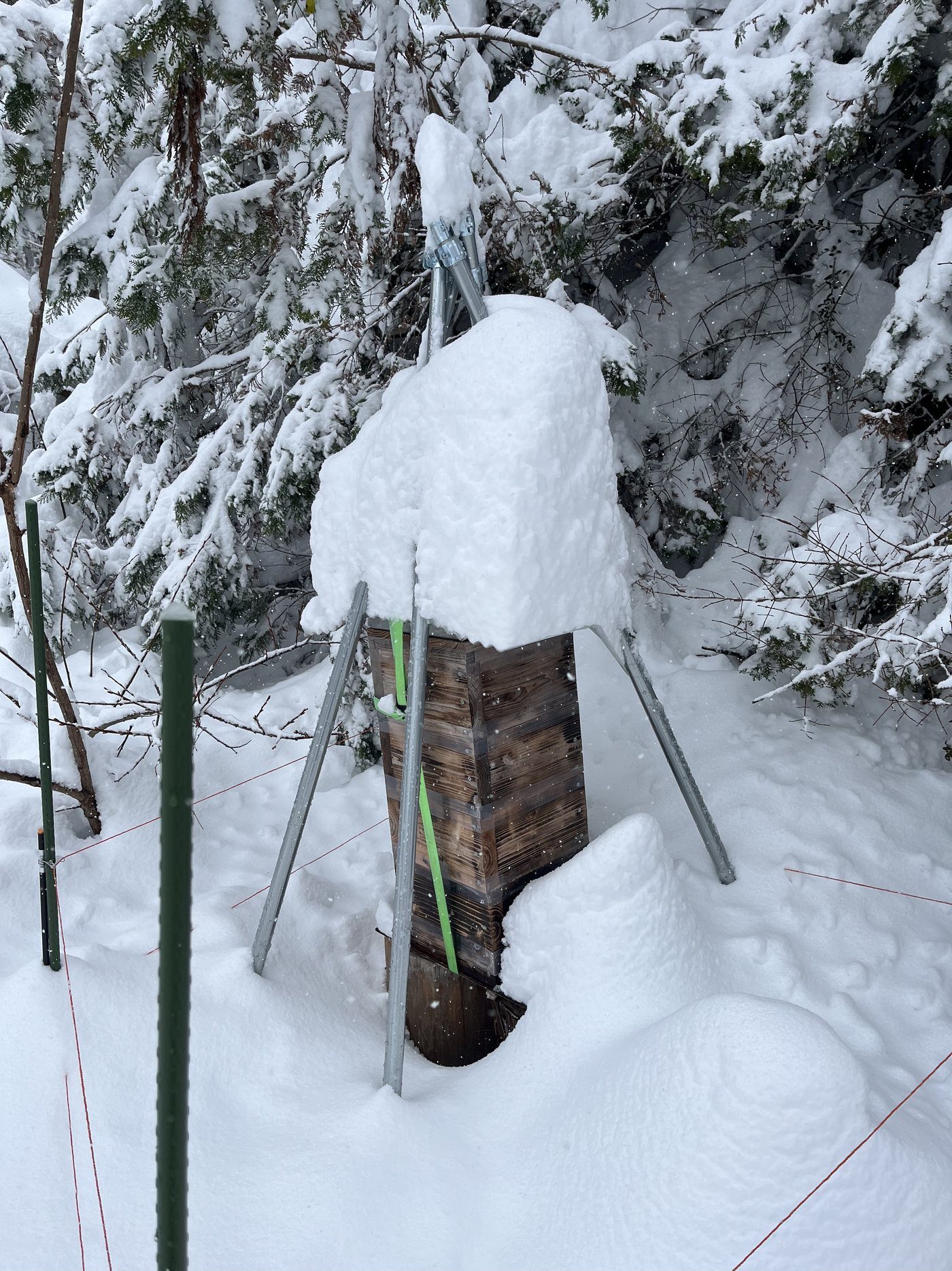 雪の中の巣箱